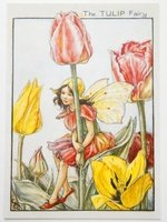 フラワーフェアリーズ　ポストカード The Tulip Fairy フラワーフェアリーズのプリザーブドフラワーギフト