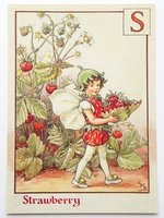 フラワーフェアリーズ　ポストカード The Strawberry Fairy 指定なしのプリザーブドフラワーギフト