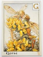 フラワーフェアリーズ　ポストカード The Gorse Fiaries 指定なしのプリザーブドフラワーギフト
