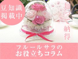 お役立ちコラム