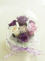 シューガーデン ヴィオレ