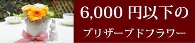 6000円以下のプリザーブドフラワーギフト通販