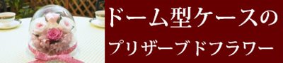 ドーム型ケースのプリザーブドフラワーギフト通販